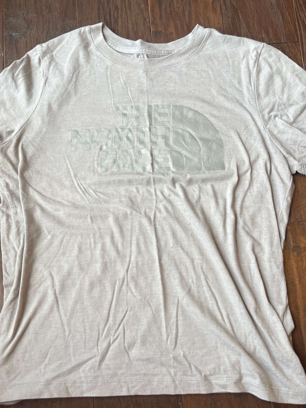 The North Face Light Beige Logo Crew Tee - Picture 1 of 3